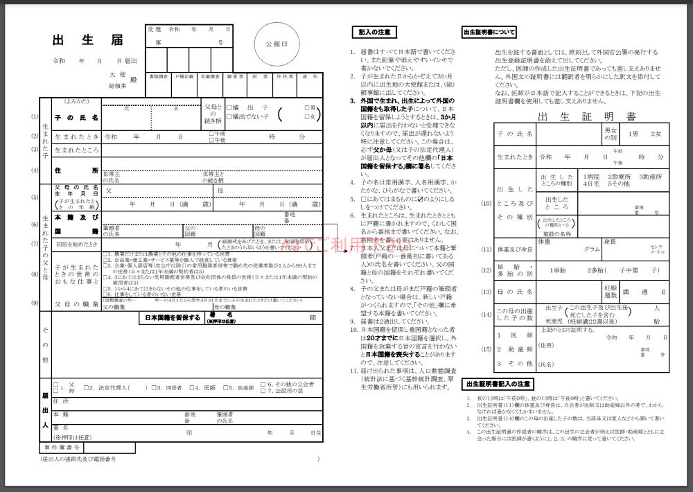 海外_出産_子供_戸籍_出生届_国籍